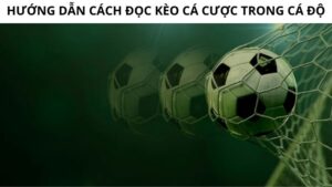 Cách tính fair odds mới nhất 2024 cho anh em tân thủ